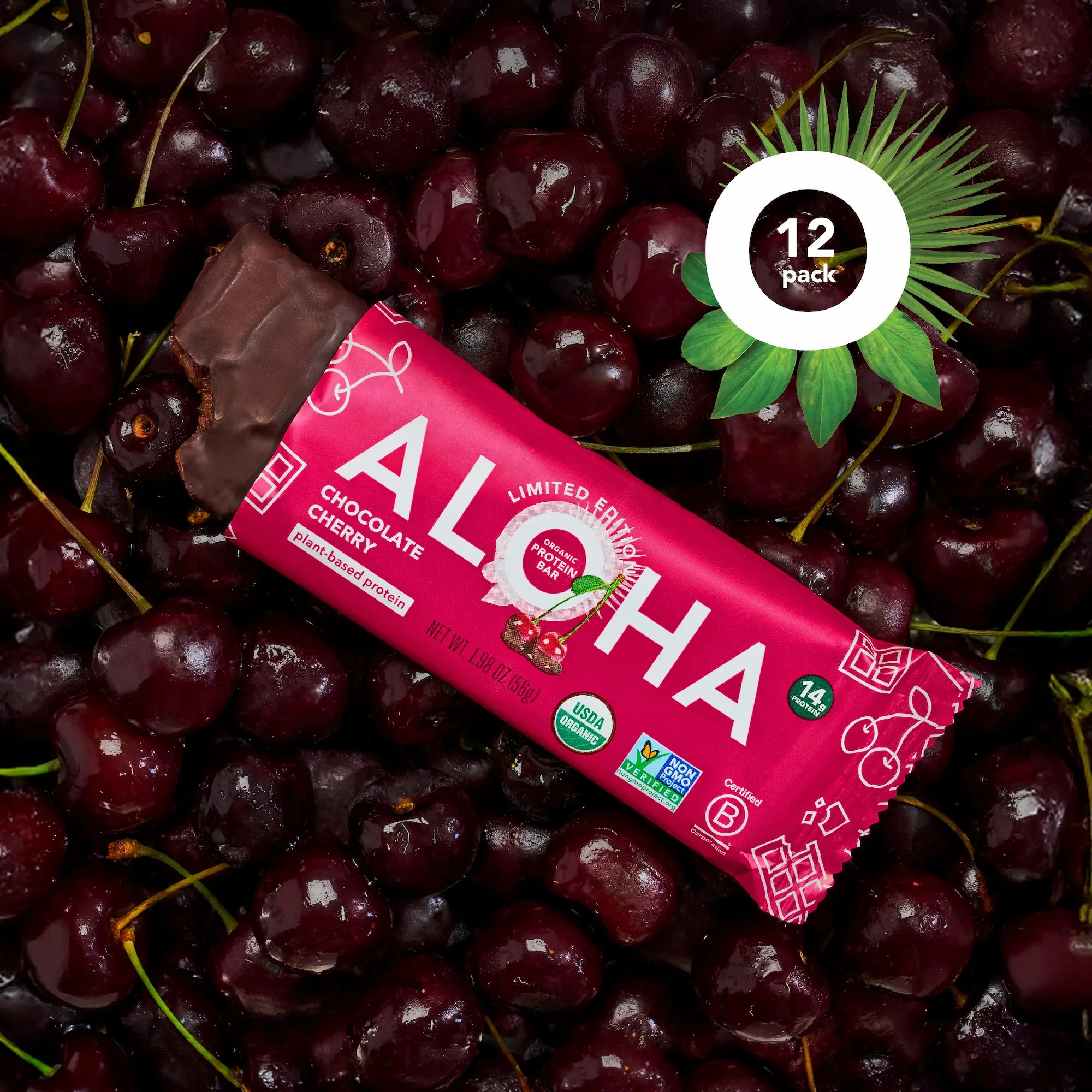 Chocolate Cherry - Protein Bars - Image 2