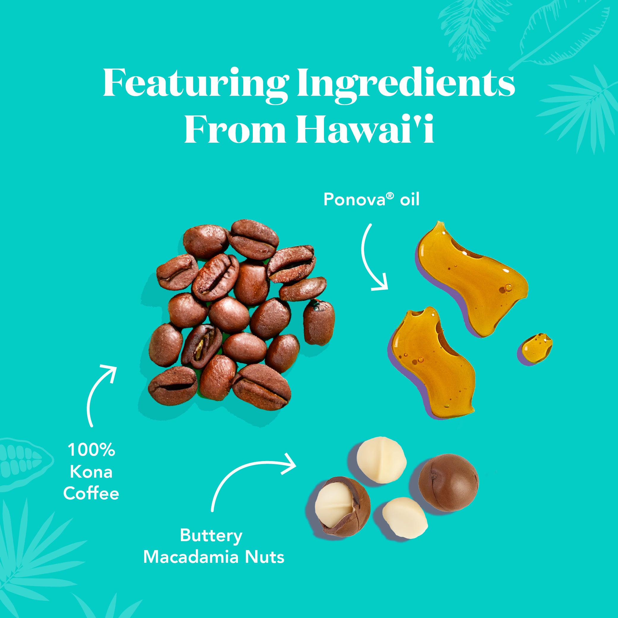 The Kona Bar - Protein Bars - Image 4