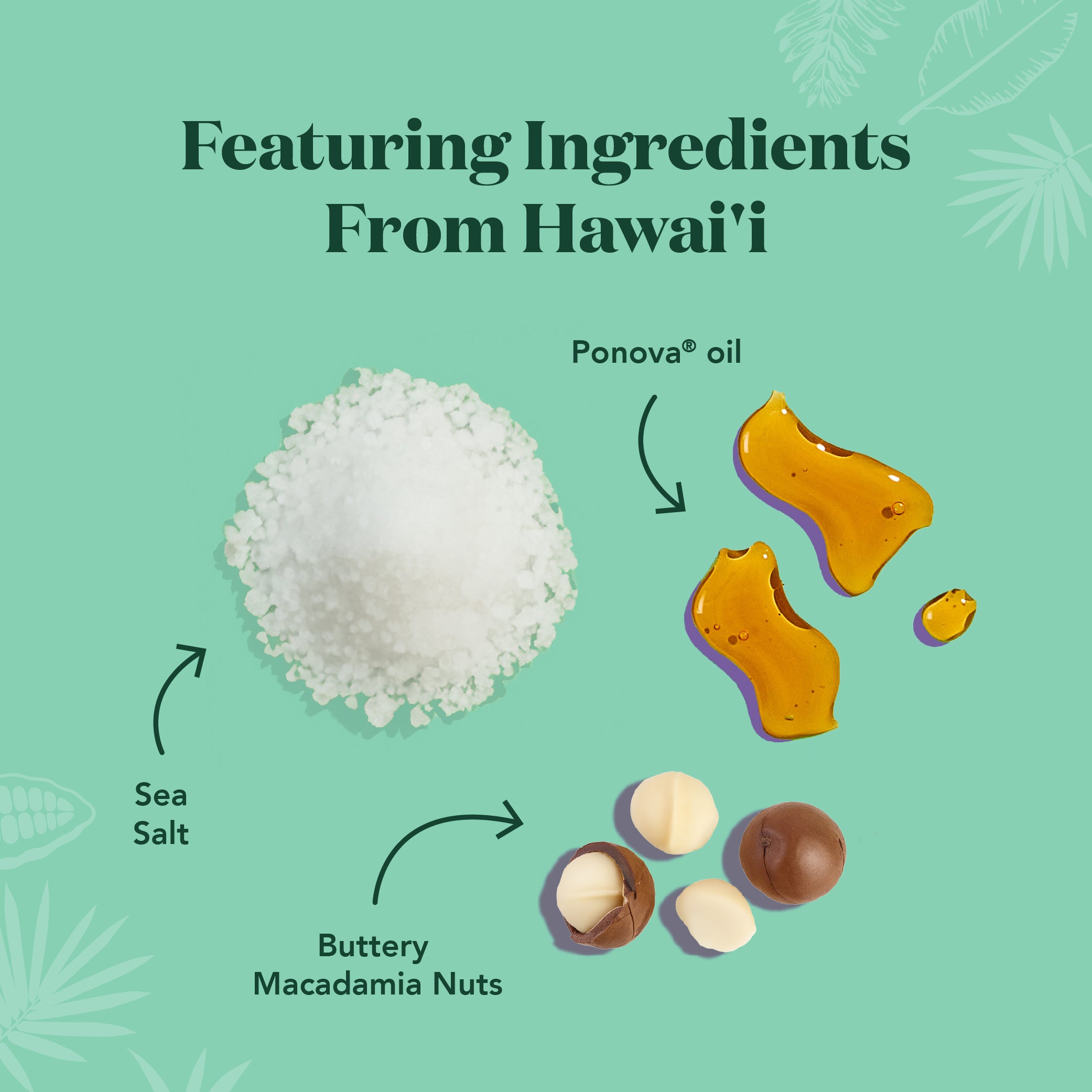 The Pa'akai Bar - Protein Bars - Image 4