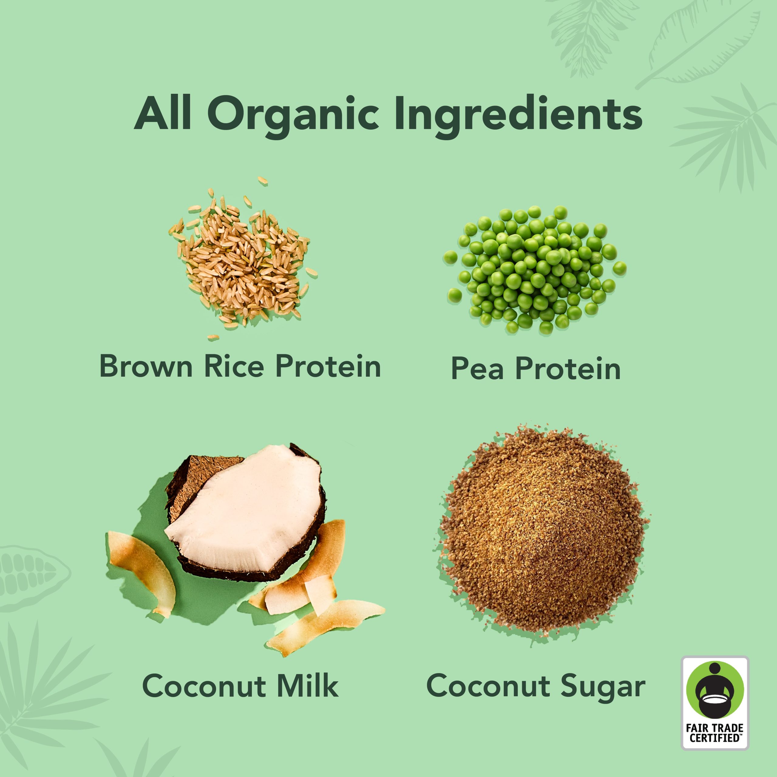 Coconut - Protein Drinks (Out of Stock) - Image 5
