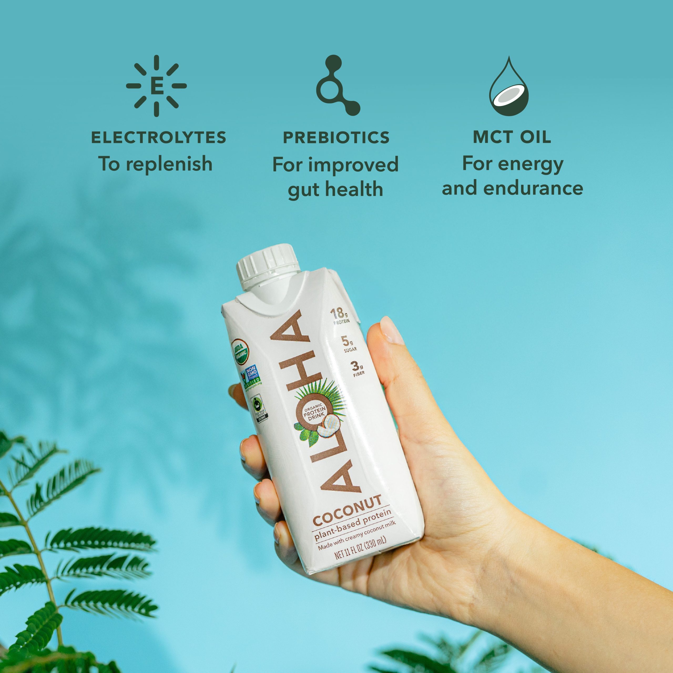 Coconut - Protein Drinks (Out of Stock) - Image 2