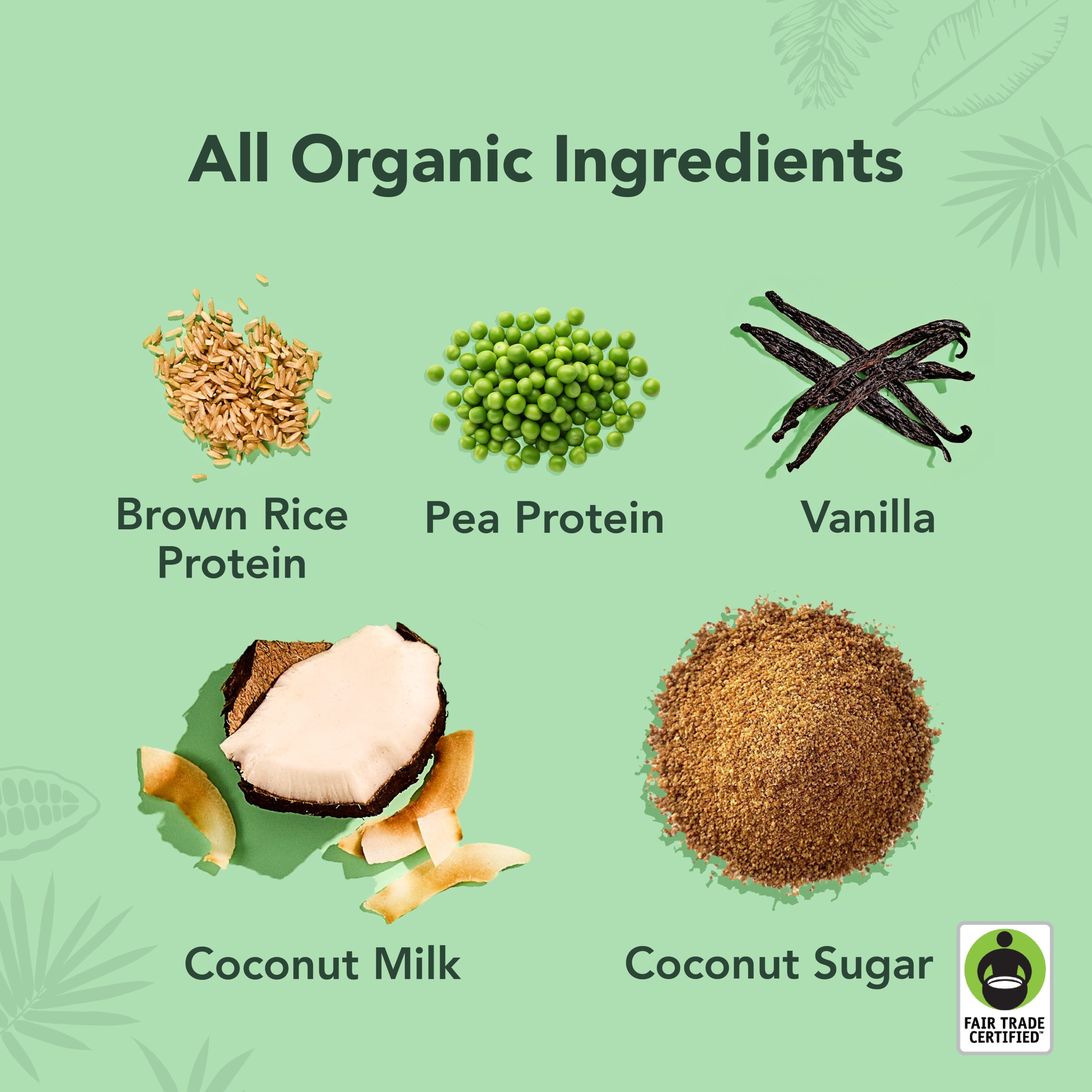 Vanilla - Protein Drinks (Out of Stock) - Image 5
